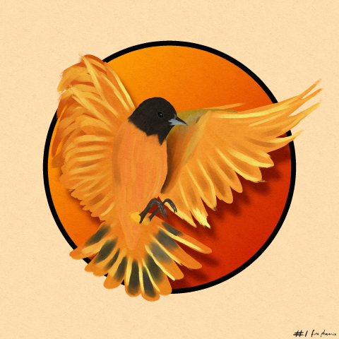 An orangey yellow and brown Phoenix themed bird based on the Baltomore Oriole